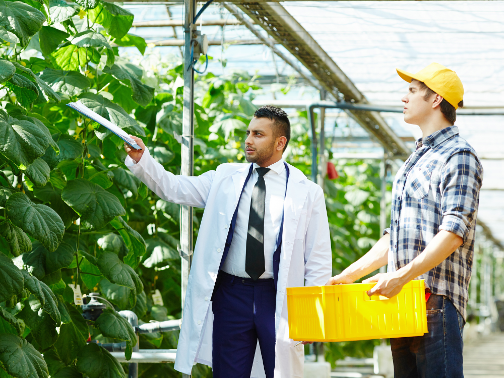 Chuyên gia canh tác nhà kính
