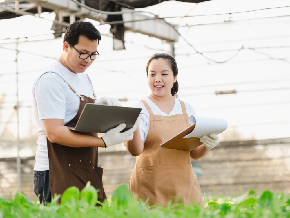 Chuyên gia IoT nông nghiệp